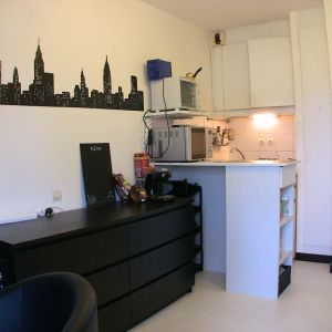 Appartement 1 pièce à Illkirch-Graffenstaden - Photo 2