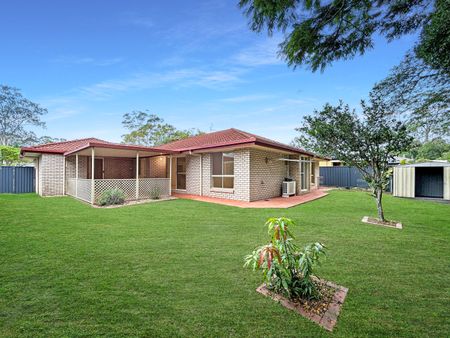 8 Connors Close, Buderim QLD 4556 - House For Rent | Domain - Photo 4