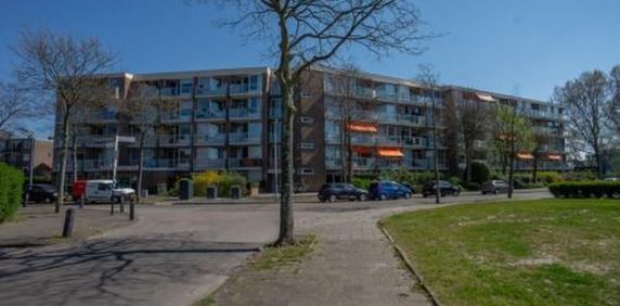 Hadewijchstraat 1813 Alkmaar - Foto 2