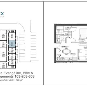 303 - 1625 Evangéline - Photo 3