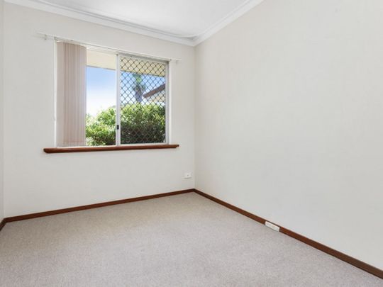 Wilson Gem! - Photo 1