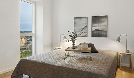 Anna Anchers Gade 4, 3. tv. - Foto 5