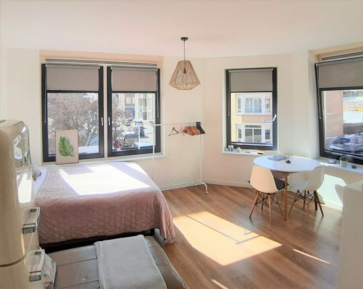 SNOEKSTRAAT 4G, THE HAGUE - Photo 1