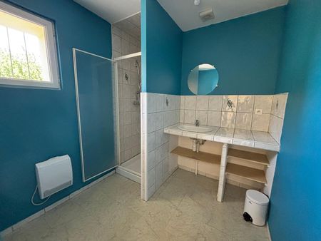 Location Appartement 1 pièce 29m² PRIVAS 07000 - Photo 3