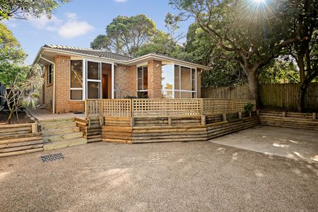 35a King Street, Manly Vale NSW 2093 - House For Rent | Domain - Photo 4