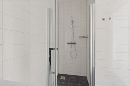 Delflandlaan 2D8, 1062EB Amsterdam - Photo 3