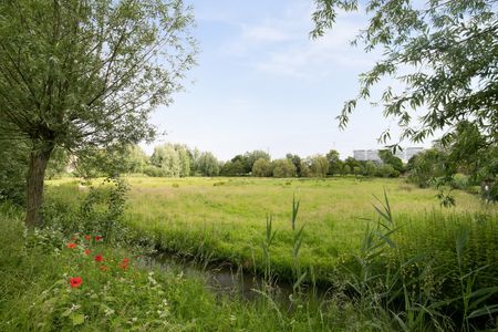 Amerbachstraat 13 - Photo 4