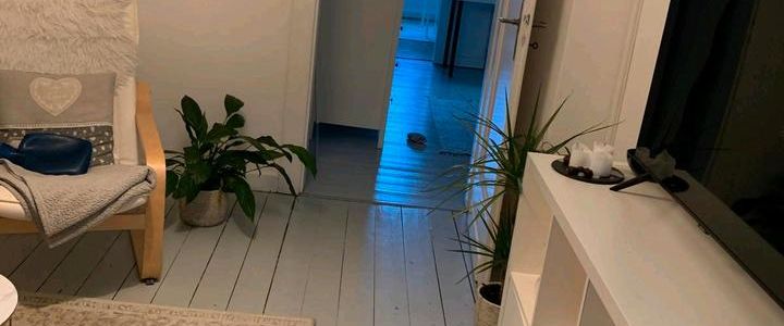 Nachmieter gesucht für Singlewohnung im Riemekeviertel - Foto 1