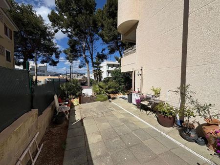 2 room luxury Apartment for rent in Calvià, Spain - Photo 4