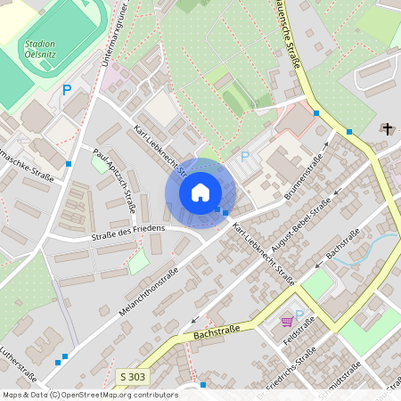 Karl-Liebknecht-Str. 37, 08606 Oelsnitz/V.