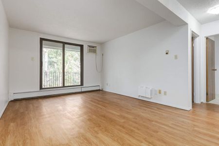 1 Bedroom - Photo 4