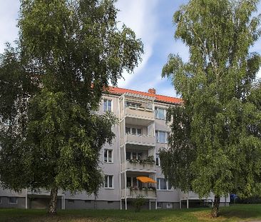 Riesige Familienwohnung mit 2 Balkonen und 2 Bädern - Foto 1