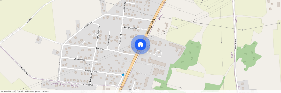 Płoński, Płońsk, Bońki