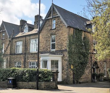Studio Flat, Newbould Lane, S10 - Photo 4