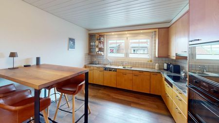 IDYLLIC LIVING IN A MAGNIFICENT PLACE IN REMETSCHWIL - Photo 5