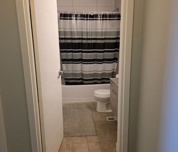 For Lease - 62 Balsam Street, Waterloo, Ontario - Photo 6