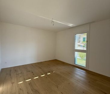 3.5 Zimmer - Photo 6