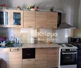 Μονοκατοικία για ενοικίαση - Πύργος, - Photo 3