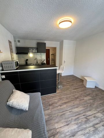 Location Appartement 1 pièce 24m² - Photo 4