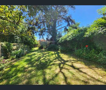 77 Palace Street, Ashfield, NSW 2131 - Photo 2