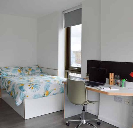 Ensuite Gold - City View - Photo 3