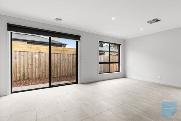 BRAND NEW FOUR BEDROOM HOME - Photo 1