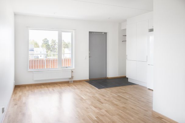 Dammgatan 36 - Foto 1