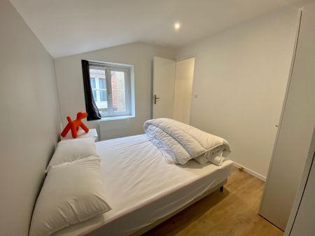 Magnifique T2 Meublé Clermont-Ferrand / avenue d’italie - Photo 3