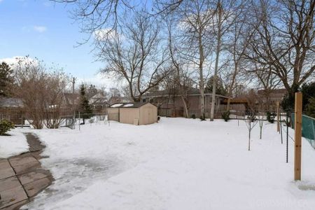 For Lease - 350 Amelia Street, Newmarket, Ontario - Photo 5