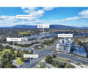 9 Drury Court, Wantirna South, Vic 3152 - Photo 4