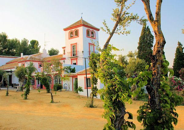 Charming property, the spirit of Andalusia. Carmona Sevilla.