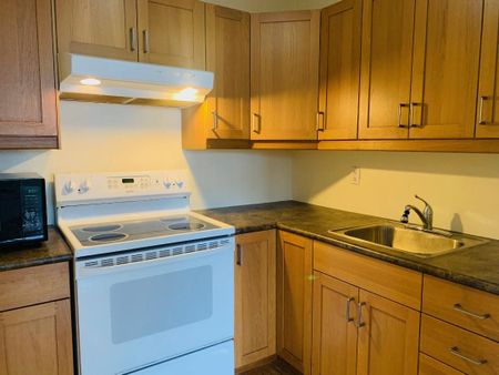 For Lease - 40 Homewood Avenue Unit# 1503, Toronto, Ontario - Photo 4