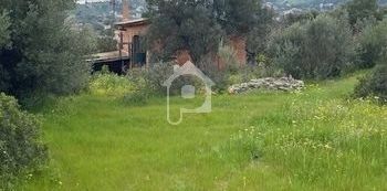 Μονοκατοικία 65 τ.μ. για ενοικίαση, Αθήνα - Ανατολικά Προάστια, Κορωπί - Photo 2
