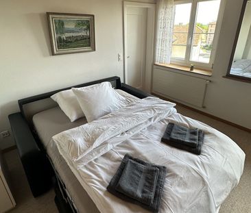 MAISON DE 6 PIÈCES À NEUHAUSEN AM RHEINFALL (SH), MEUBLÉE, TEMPORAIRE - Foto 4