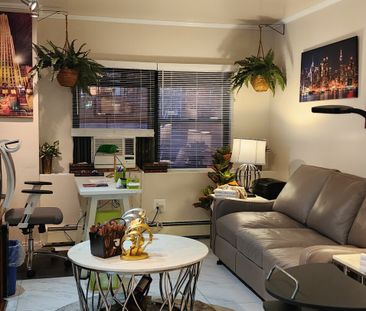 Brooklyn, New York | Fully Furnished One-Bedroom Apartment - Photo 3