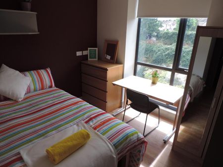 3 bedroom house to rent - Photo 2