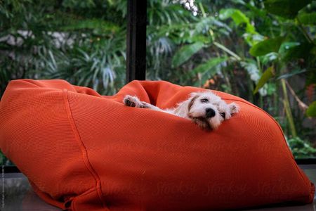 The Oslo, Sandyford Central, Sandyford, Dublin 18 - Photo 2