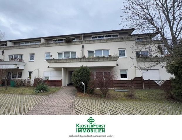 Schöne 2-Zimmer Wohnung mit eigener Südwest-Terrasse am Großen Garten - Foto 1