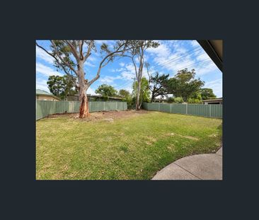 Renovated 2/3 Bedroom Home - Photo 3
