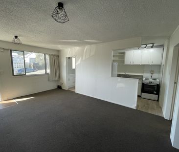 First Week Free Rent In Mt Victoria! - Photo 6