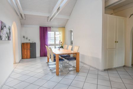 Grosse Terrasse - zwei Cheminée - Photo 3