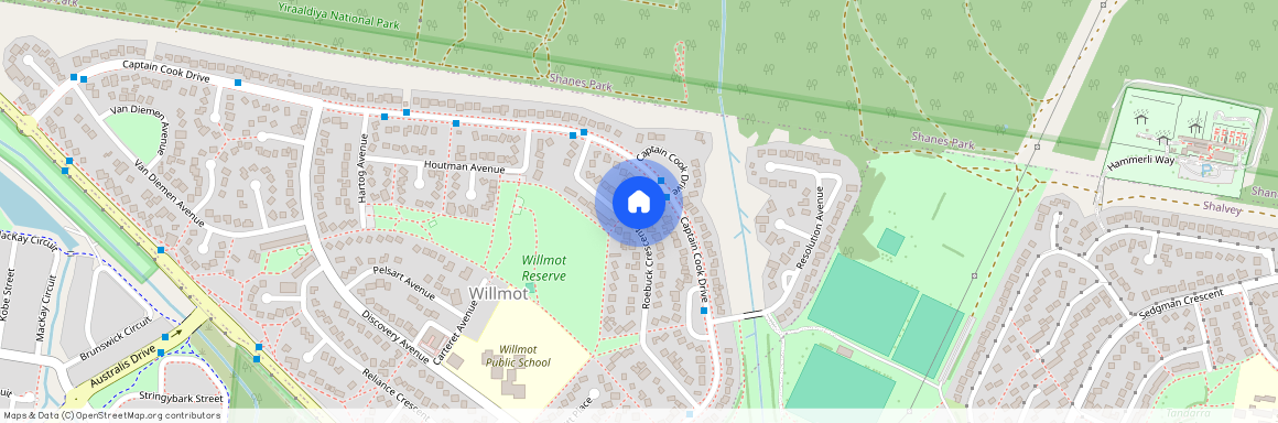 19 Roebuck Crescent, Willmot NSW 2770