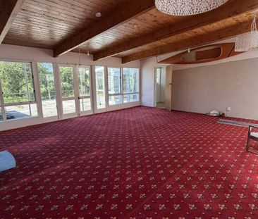 Peaceful Lifestyle Living in Sunny Te Horo - Photo 3