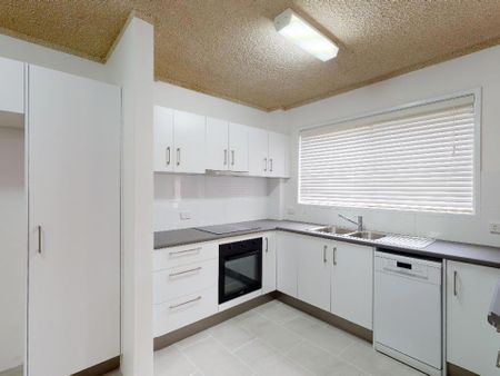 3/12 Allara Avenue, Palm Beach QLD - Photo 3