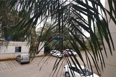 Apartamento 2D para alugar em Gravataí em Ótima Localização com Elevador! - Photo 2