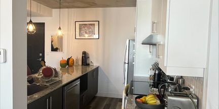 Grand 1 Chambre A Louer - Photo 3