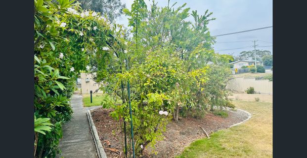 Stunning Waterfront Property Inclusive of Electricity & Water - Photo 1