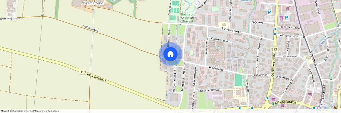 Sundgauerstrasse 70, 4106 Therwil