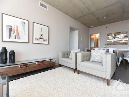 For Lease - 203 CATHERINE Street Unit# 209, Ottawa Centre, Ontario - Photo 5