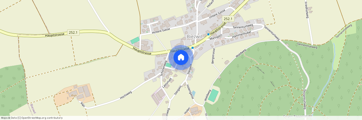 4585, Biezwil, Schmittengässli, 16